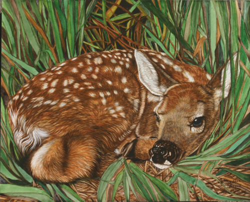 Deer Fawn Painting "Nap Time for Bambi"