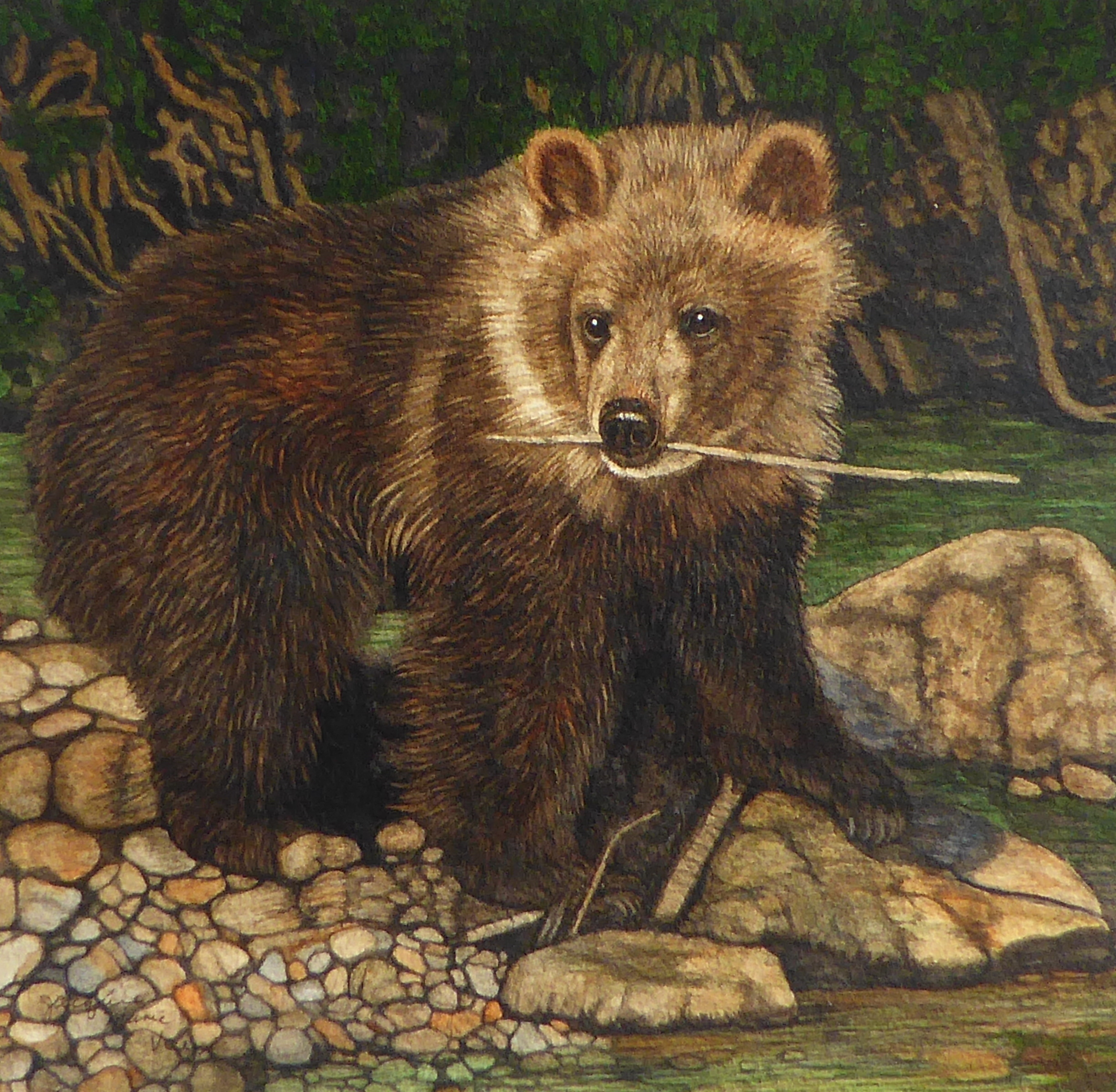 Grizzly Bear Animal Art