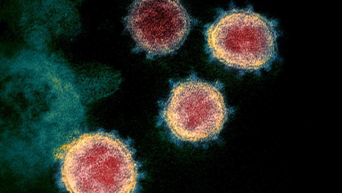 Coronavirus ‘community spread’ grows in Massachusetts; here’s what that means