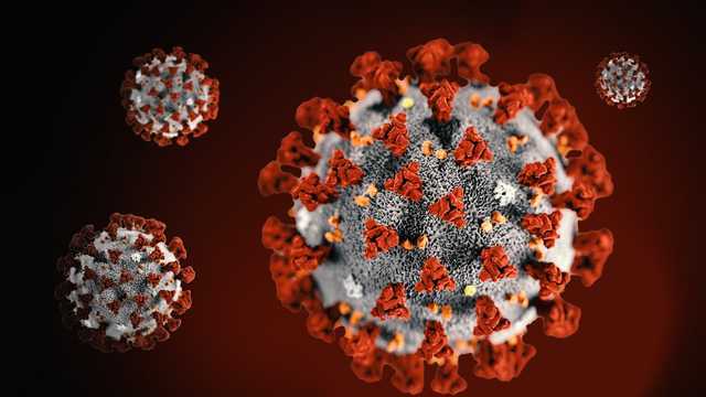 Maine CDC announces 10 new coronavirus cases in the state
