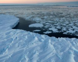 Science Tips  Tips  Tricks   Technology Satellites reveal clearest picture of ice-melting in Antarctica