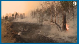 Science Tips  Tips  Tricks   Technology Siberian Wildfires Have Burned an Area More Than Three Times the Size of Delaware