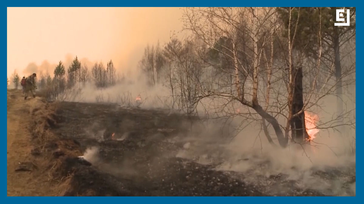 Science Tips  Tips  Tricks   Technology Siberian Wildfires Have Burned an Area More Than Three Times the Size of Delaware