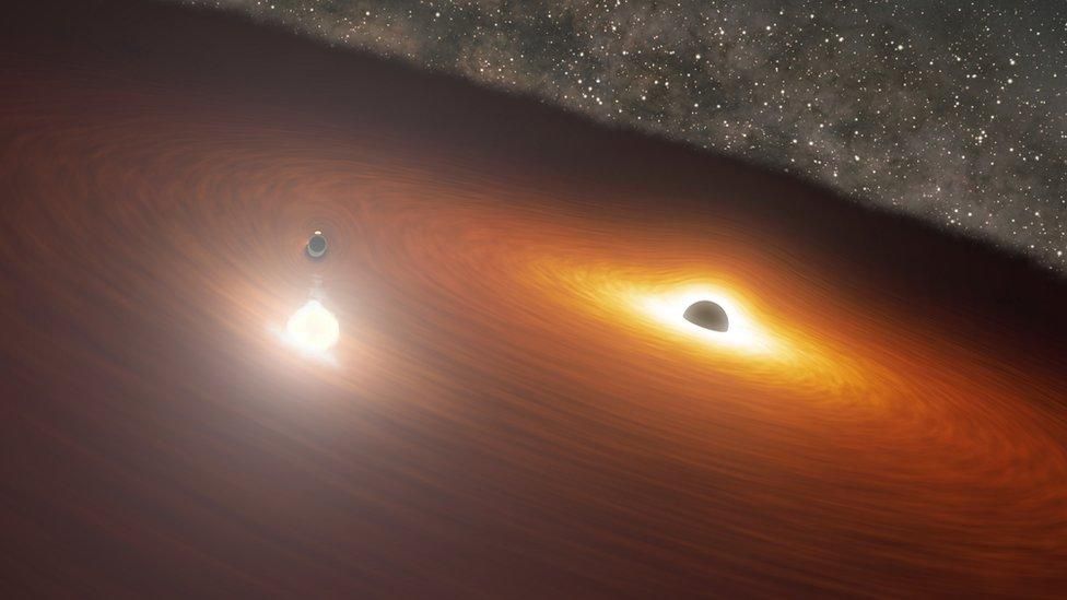Science Tips  Tips  Tricks   Technology Dancing gargantuan black holes perform on cue