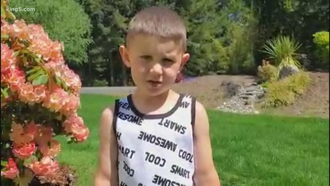 Science Tips  Tips  Tricks   Technology 4-year-old Port Orchard boy describes seeing meteor over Puget Sound