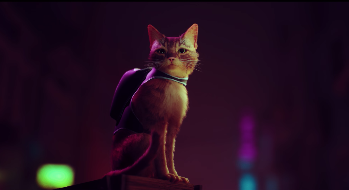 ‘Stray’ is a futuristic cat simulator for PS4 and PS5